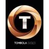tombola gold share price.